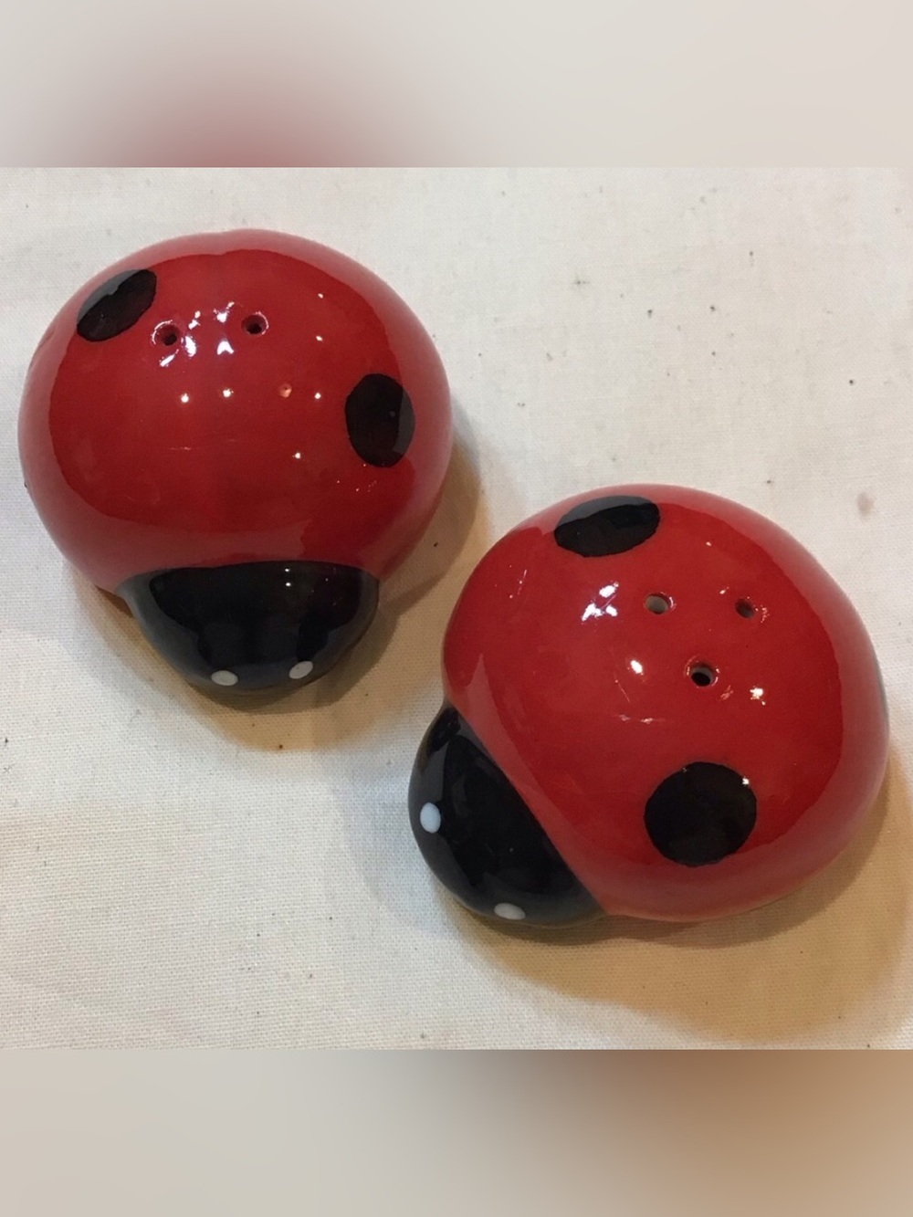 Ladybug Salt and Pepper Shaker Set